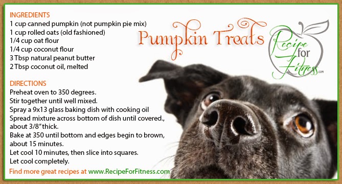 Pumpkin Treats for Your Pup!