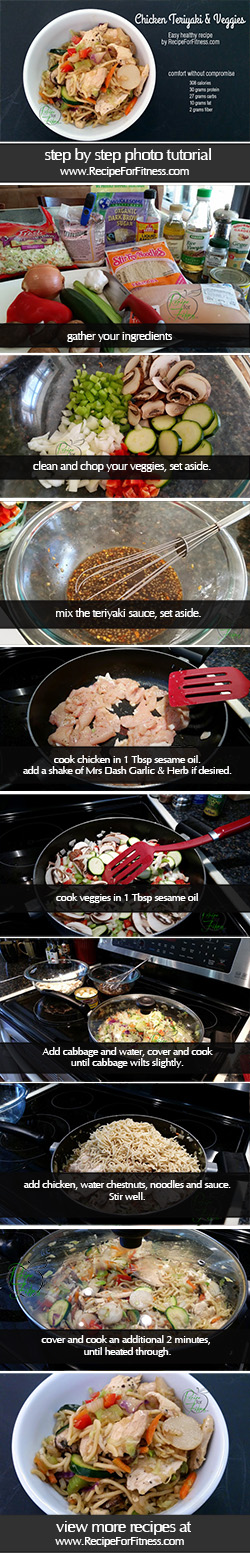 Chicken Teriyaki Photo Tutorial, Step by Step Instructions from www.RecipeForFitness.com