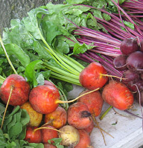 clean slow cooker recipe - beets