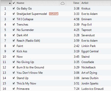 Workout Music - Cardio Workout Playlist, by Chelle April  2013