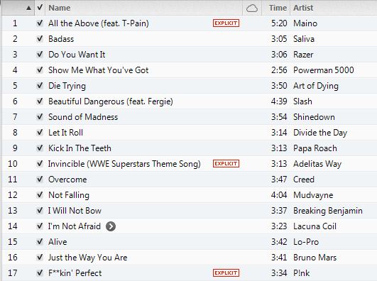 Workout Music - Cardio Workout Playlist, by Chelle February  2013