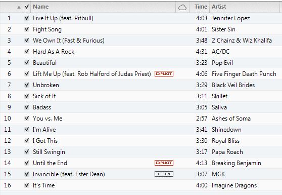 Workout Music - Cardio Workout Playlist, by Chelle June  2013