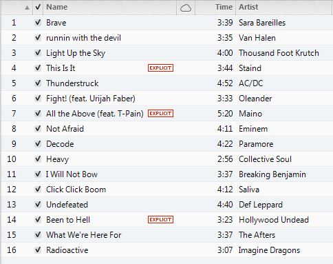 Workout Music - Cardio Workout Playlist, by Chelle May  2013